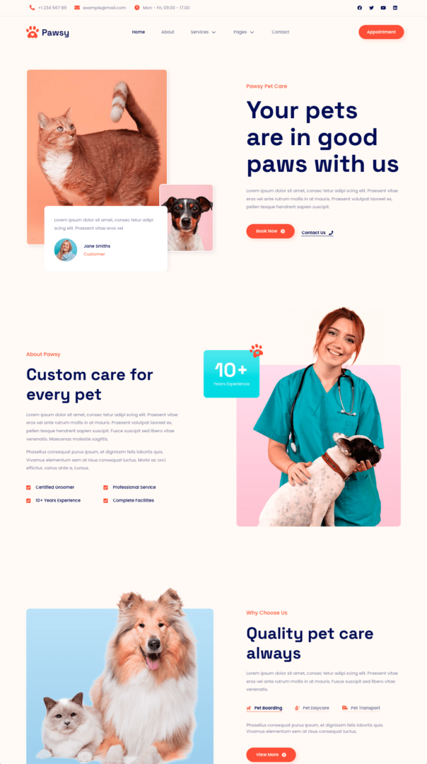 Pawsy - Pet Care & Veterinary website design