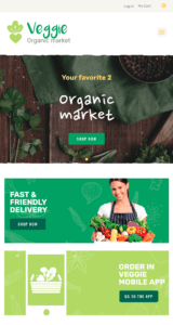 Veggie | Organic Food & Eco Online Store website design and development