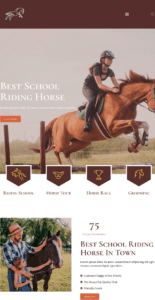 Jaran - Horse Riding School website design and development